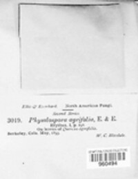 Image Associated With the Occurence